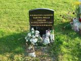 image of grave number 112636